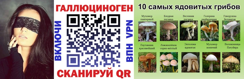 Галлюциногенные грибы Psilocybine cubensis  хочу наркоту  кракен ссылки  Циолковский 